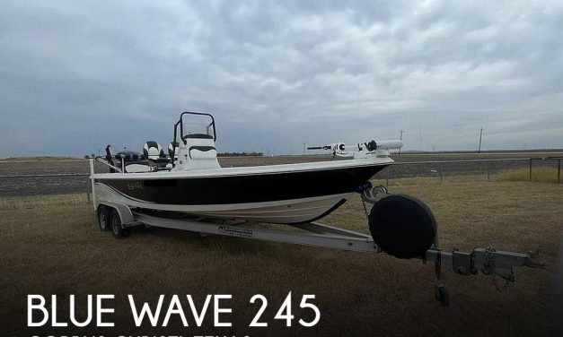 2014 Blue Wave Pure Bay 2400