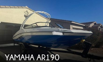 2020 Yamaha AR190